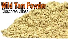 Wild Yam Powder